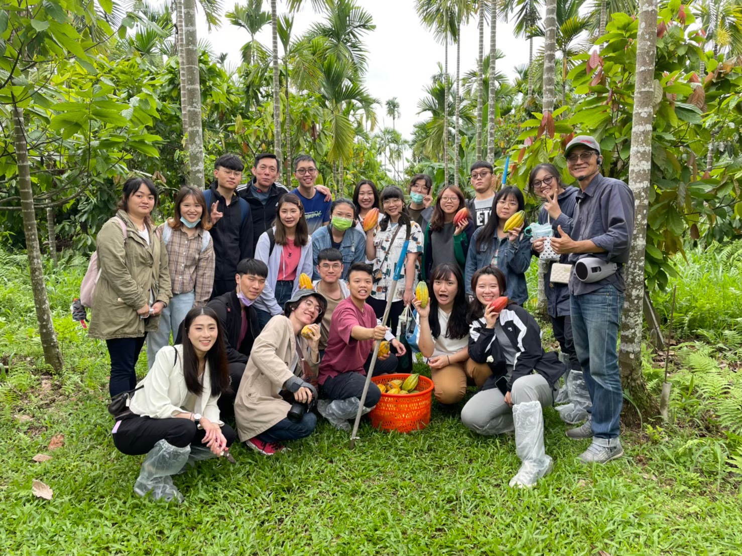 學士專業主視覺